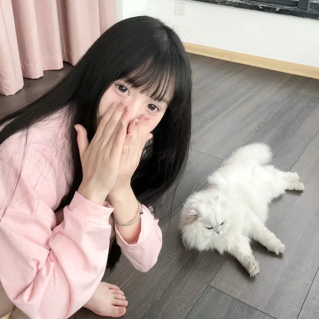 猫头鹰与小飞象